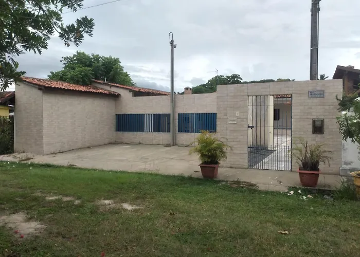 Sonho Dos Golfinhos